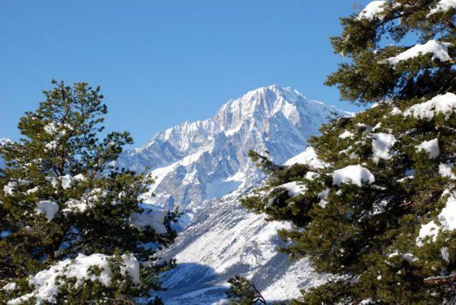 Appartamento Monte Bianco 喇沙 外观 照片
